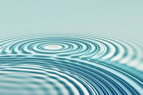 Zenbet Kasyno Wsparcie